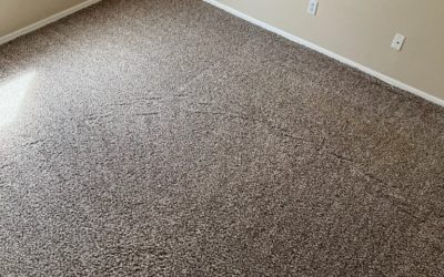 Daycare Carpet Cleaning Ahwatukee: How Clean Are the Floors?