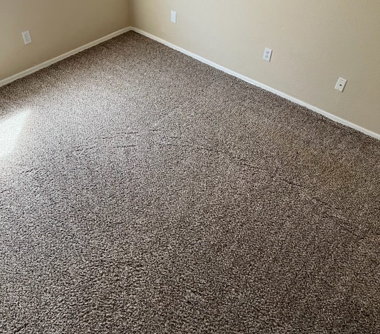 Daycare Carpet Cleaning Ahwatukee