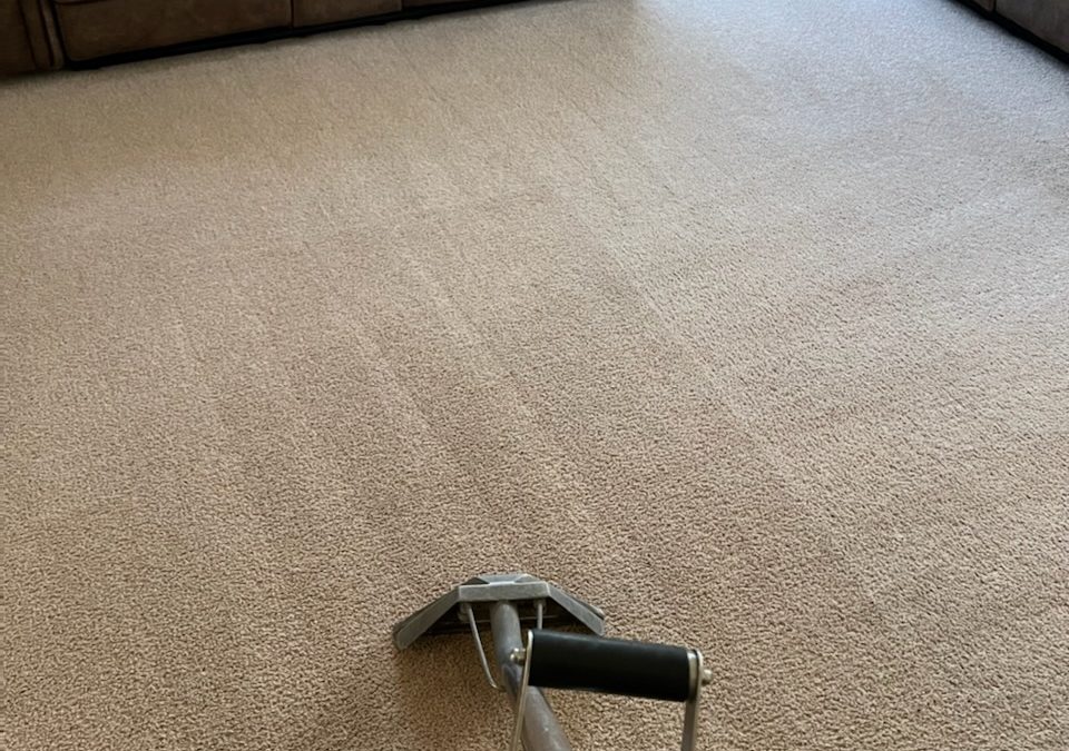 Cleaning Mud in Carpets