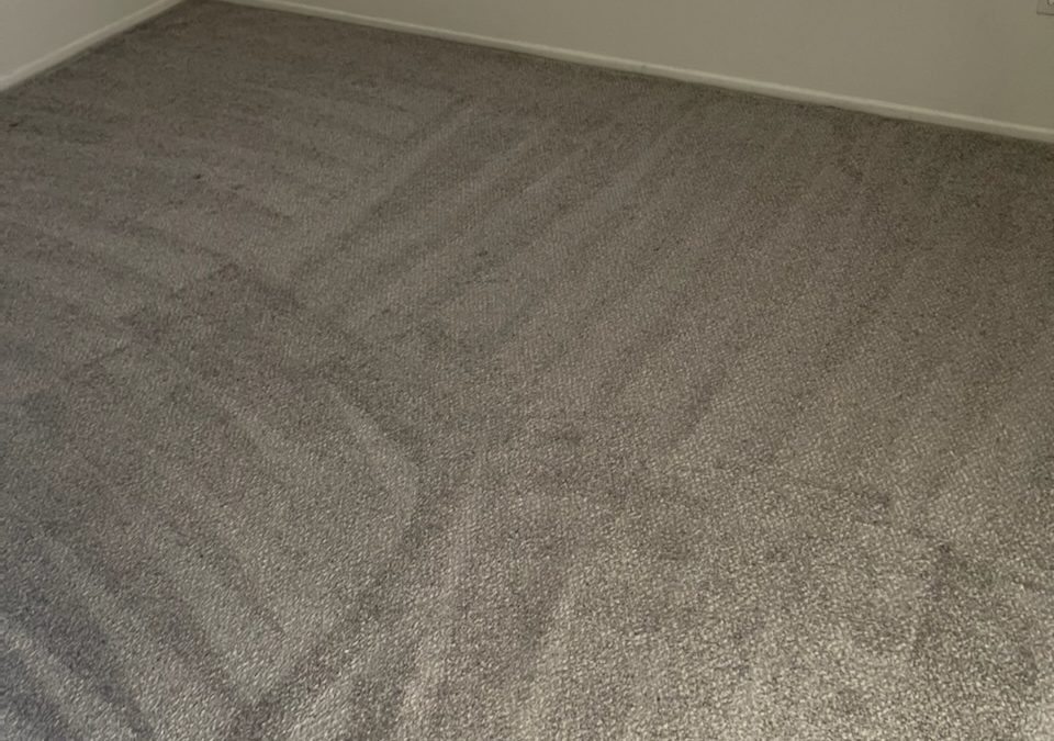 Remove Mud from Carpet