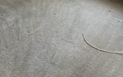 When Should You Carpet Clean Ahwatukee and How Often?